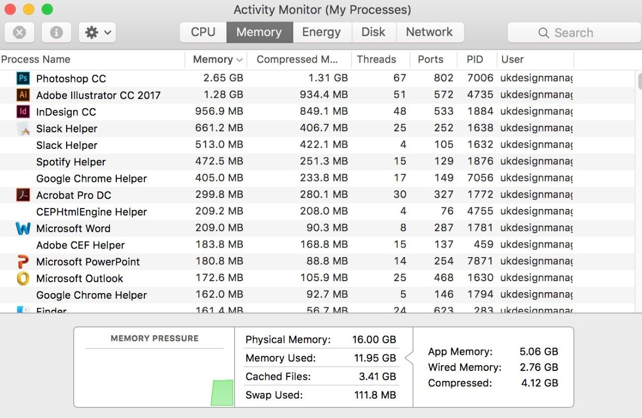 Screenshot of the Activity Monitor (My Processes) window on a Mac