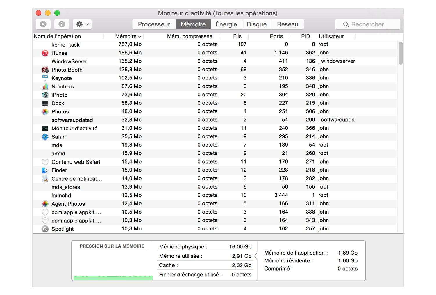 Capture d’écran de la fenêtre du Moniteur d’activité d’un Mac permettant d’identifier les applications qui consomment beaucoup de mémoire