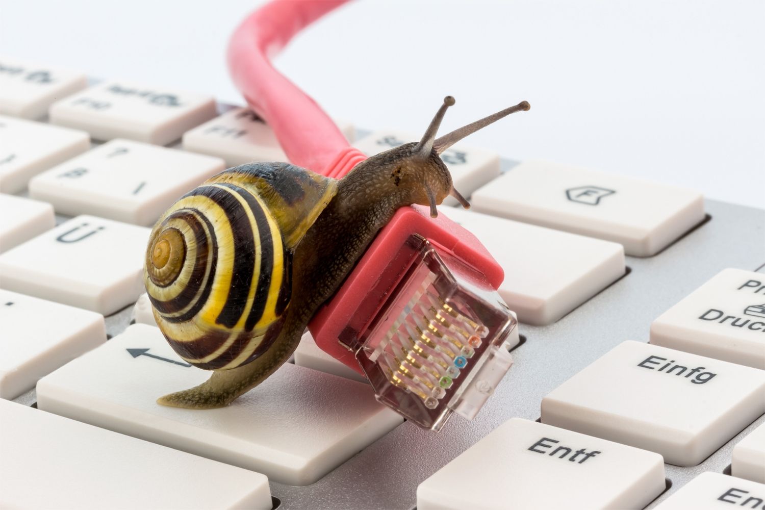 A slow snail on a Mac keyboard